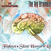 The Big Brainwash