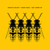 Wasp Nest / Get Down EP