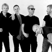 oysterband