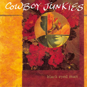 Cowboy Junkies: Black Eyed Man