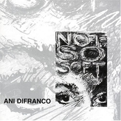 Looking For The Holes by Ani Difranco