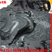 VIRULENT NINTENDOGORE