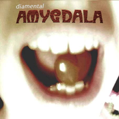 Amygdala
