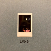 Lung
