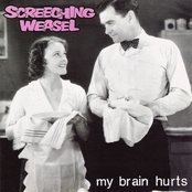 Cindy's On Methadone by Screeching Weasel