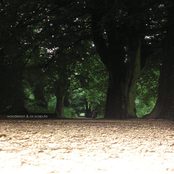 Wooderson/Ox Scapula - Split 7"