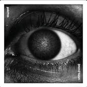 Palettes: white. (noise)