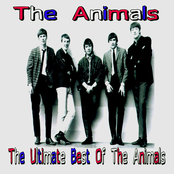 The Ultimate Best Of The Animals