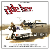ADE BEE - Wild Nights