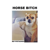Horse Bitch: RIP Pistashio