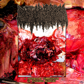 A Festering Combustion of Faceless Mangles