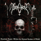 Faustian Dawn / Within The Sylvan Realms Of Frost