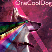 onecooldog