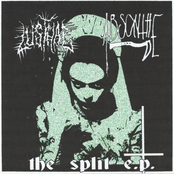 Split With Abscynthe