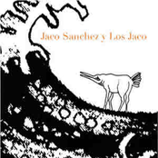 Jaco Sanchez Y Los Jaco