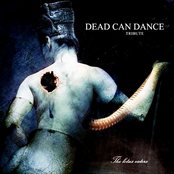 The Lotus Eaters: Tribute to Dead Can Dance