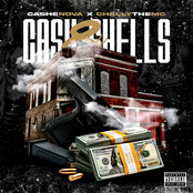 Cash & Shells