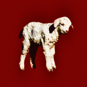 МАМА, ПАПА, ПРОСТИТЕ МЕНЯ