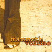 Shindig by Mammoth Volume