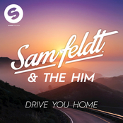 Drive You Home (feat. The Donnies The Amys) - Single