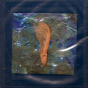 Davenport Family Boxset