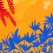 Basy Tropikalne #2 (Latin America)
