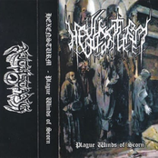 Plague Winds of Scorn