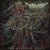 The Abysmal Grip - EP