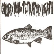 Gilled Non-Tetrapod Death / Apocritaformicidae