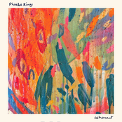 Phoebe Rings: Astronaut