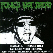 Punk's Not Dread