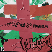 Cheem: WTFU / Faster Fashion