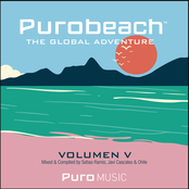 Purobeach Vol. Cinco The Global Adventure
