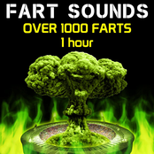 Fart Sounds - Over 1000 Farts (1 Hour)