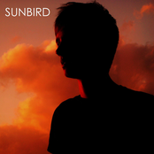 Sun Bird