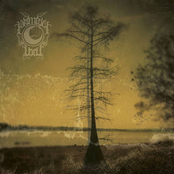 Primeval Well: Primeval Well