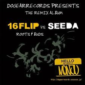 16flip vs seeda