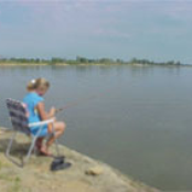 Fishing for Something