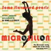 We Got A Thing That's In The Groove by Microsillon