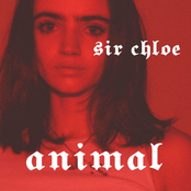 Sir Chloe: Animal