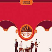 I Love Guitar Wolf... Very Much