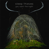 City Of Hearts by Sleep Thieves