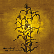 The Laughing Stalk by Woven Hand