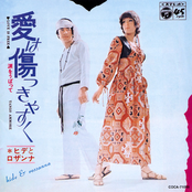 ドーナツ盤メモリー ヒデとロザンナ