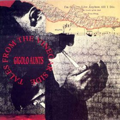 I Am The Cosmos by Gigolo Aunts