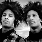 les twins