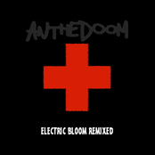 Electric Bloom Remixed