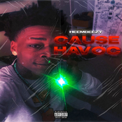 Heembeezy: Cause Havoc