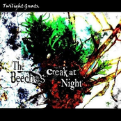 The Beeches Creak At Night