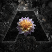 They Wanna Hear You Sing